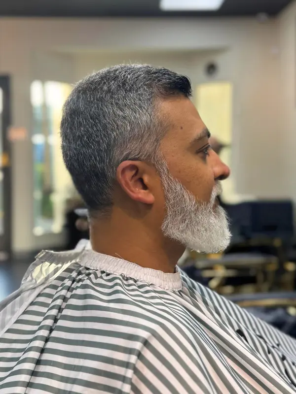 A fresh salon style